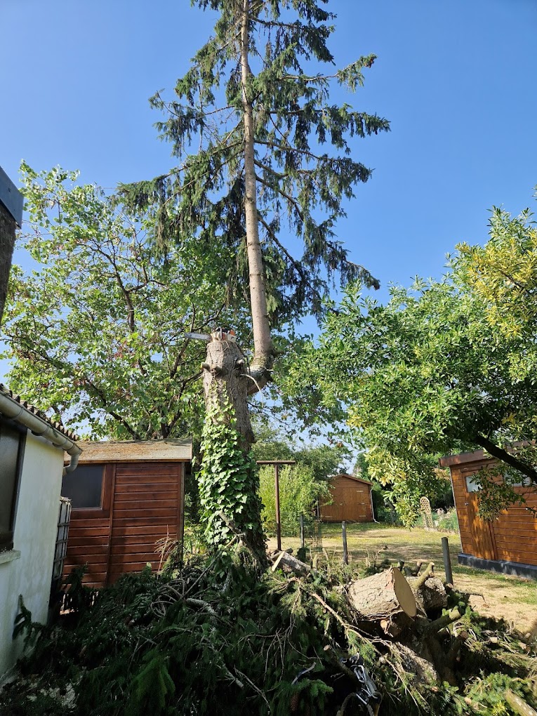 élagage paysagiste démontage de conifère Saint-Herblain Nantes