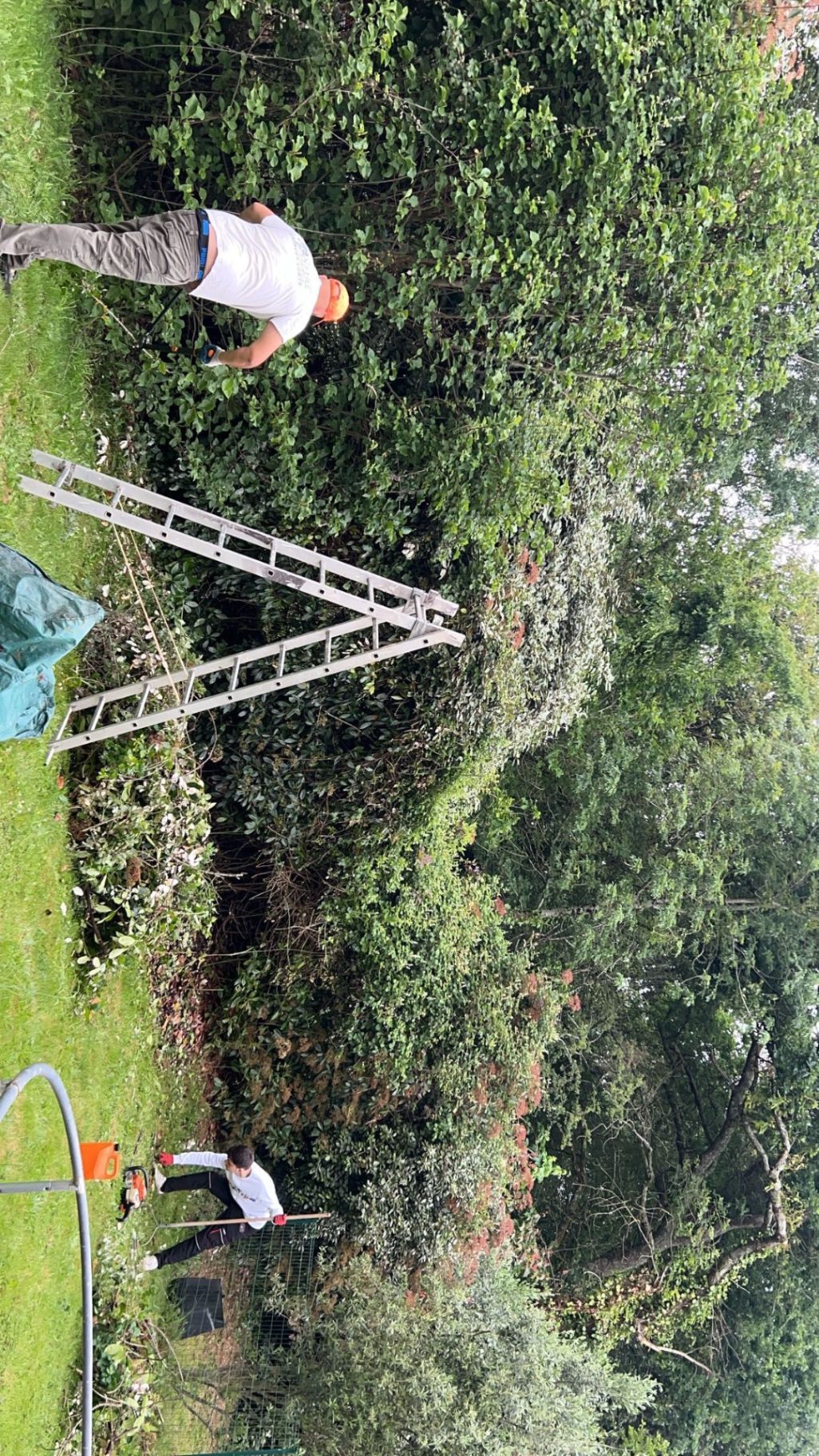 élagage paysagiste taille de haie Saint-Herblain Nantes