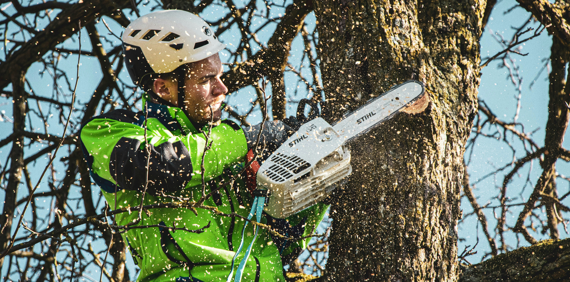 Élagueur grimpeur CS Espace Vert en cours d'élagage d'arbre à Saint-Herblain près de Nantes